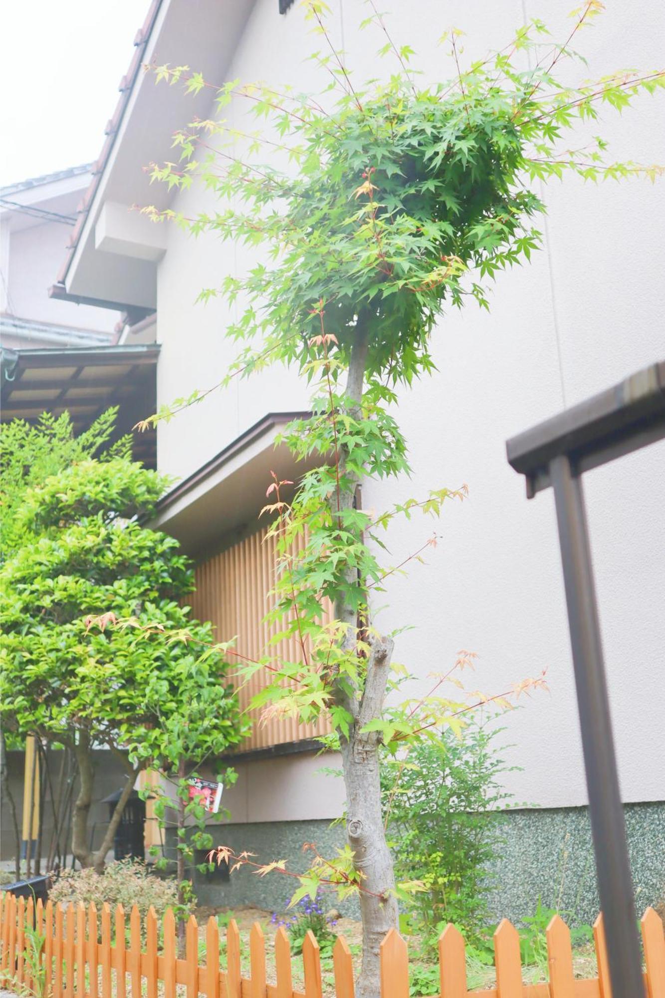 Vila 立花荘 Macujama Exteriér fotografie